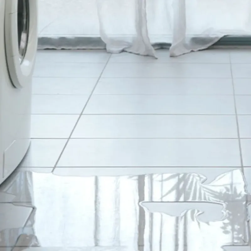 Appliance Leak Cleanup in Pagedale, MO