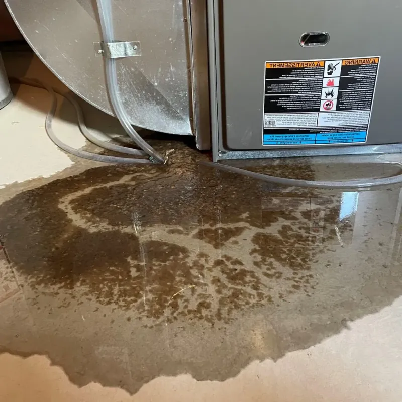 Pipe Burst and Leak Restoration in Pagedale, MO