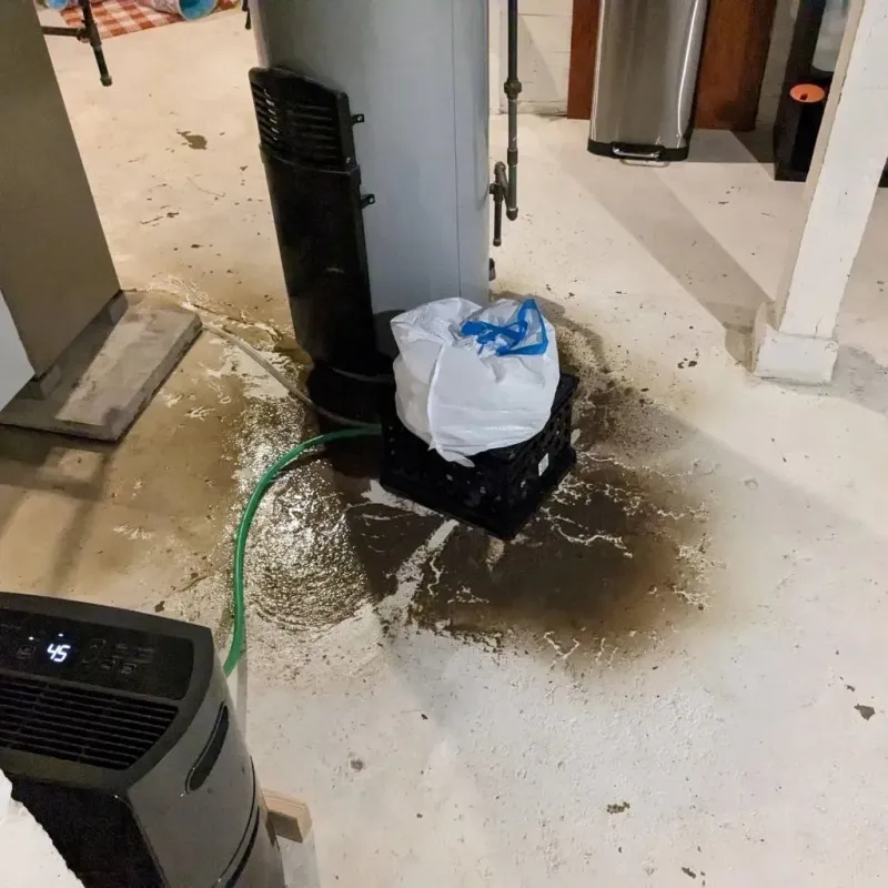 Sewage Backup Cleanup Service in Pagedale, MO